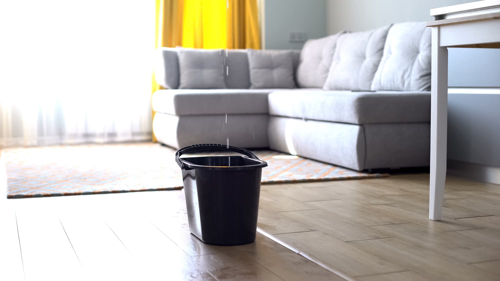 Water droplets leaking in bucket from ceiling, damaged roof, house renovation